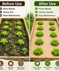 Biodegradable Paper Weed Barrier 2 Pack 100 Feet Each For Garden And Lawn No Fuss Landscape Fabric Before and After Use