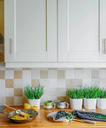Modern kitchen with white cabinets featuring 10 Pack 5 Inch Cabinet Pulls In Brushed Nickel Stainless Steel For Kitchen Cabinets And Drawers With 3 Inch Center To Center Hole Spacing Easy To Install Durable Hardware Designed For Modern Kitchens, green plants on wooden counter, stove, and backsplash tiles.