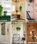 Heavy Duty Wrought Iron Plant Hanger Set Of Two For Indoor Or Outdoor Use Metal Wall Bracket Hooks To Hang Plants, Baskets, Lanterns And Bird Feeders in different setups including kitchen, living room, and patio.