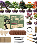 Indoor Bonsai Seed Starter Kit With Drainage Pots and tools, displaying 8 tree varieties like Jacaranda and Flame Tree