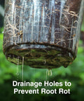 Close-up of drainage holes in clear nursery pot with exposed roots for Clear Nursery Pots Set Of 36 In 7, 5, 4, And 3.5 Inch Sizes With Drainage Holes For Seedlings, Flowers, And Houseplants Transparent Plastic Plant Pots For Easy Root Watching And Watering.