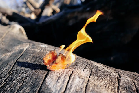 Pyro Putty Emergency Fire Starter For All Seasons Eco Blend Waterproof And Windproof 2 Oz Can burning on log outdoors