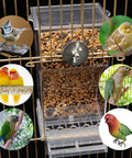 Two Pack Automatic No Mess Bird Cage Feeder Set With Clear Acrylic Food Tray And Blue Water Dispenser For Parrots showcasing bird feeder with seeds.