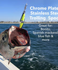 Five Pack Spoon Squid Precision Fishing Spoon Lures With 2 Inch Blades Saltwater 2/0 Hooks And Size 1 Ball Bearing Swivels Includes Chrome Pink Flash Silver Flash Chartreuse Flash And Gold Flash For Spanish Mackerel Bluefish Tuna And More chrome-plated spoon lure on hooked fish