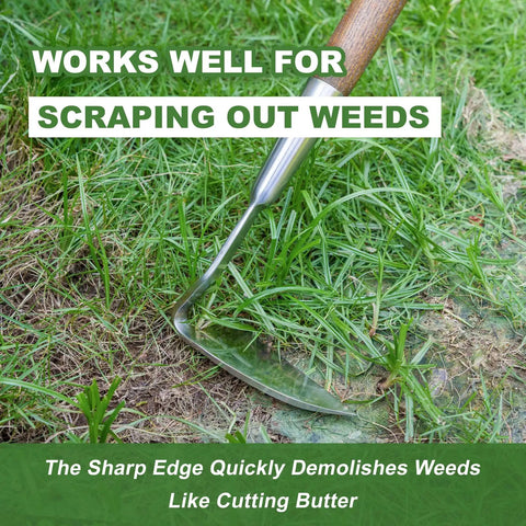 Long Handled Sickle Hoe For Easy Weeding In Tight Beds 58 Inch Japanese Stainless Steel Scraper Hoe with bent angle blade scraping grass