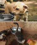 Heavy Duty Automatic Pet Water Bowl Stainless Steel Self Filling Dispenser For Dogs Cats Ducks Goats And Small Livestock Farm Yard, dog drinking water.