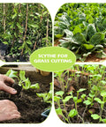 Scythe for grass cutting with thriving garden plants and hands tending soil