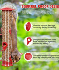 2 Pack Outdoor Bird Feeders With 6 Feeding Ports Heavy Duty Tube Clear Weatherproof And Water Resistant Squirrel Deterrent Easy Hang
