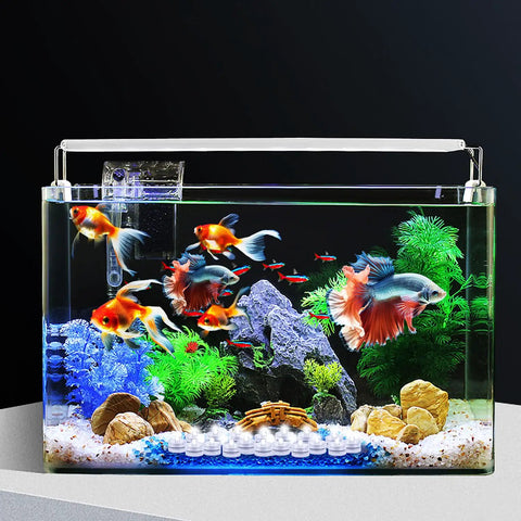 Fish tank with colorful fish and submersible LED tea lights set for pond and water features, battery operated underwater lights