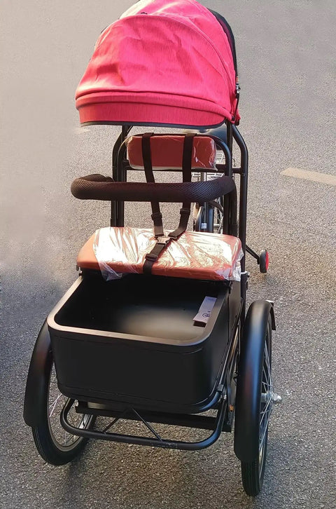 Three Wheel Pedal Tricycle With Detachable Training Wheels, Front Seat Tandem Trike, Dual Brakes, Canopy And Guardrail