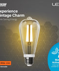 Smart Motion Sensor LED Bulb, 60W Equivalent, Soft White 2700K, E26 Base, Auto On Off When You Move, Energy Saver, Ideal For Hallways And Entryways, Perfect For Hallways, Staircases, And Entrances, ST19 vintage filament bulb