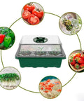 Five Pack Seed Starter Trays With Adjustable Humidity Dome And Base Indoor Greenhouse Propagator For Seed Germination 12 Cells Per Tray with images of plants around it
