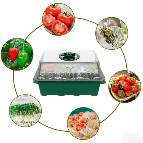 Five Pack Seed Starter Trays With Adjustable Humidity Dome And Base Indoor Greenhouse Propagator For Seed Germination 12 Cells Per Tray with images of plants around it