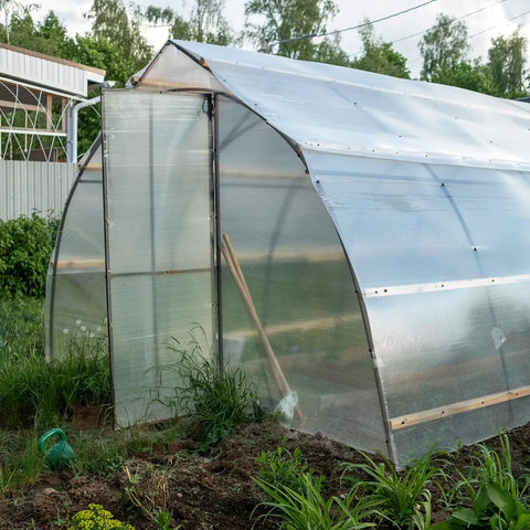 Transparent greenhouse structure in garden with plants, polycarbonate panels and metal frame, cloudy sky background