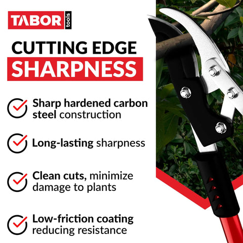 Bypass Lopper With Compound Action 30 Inch Tree Trimmer showing sharp carbon steel blades for clean cuts in garden