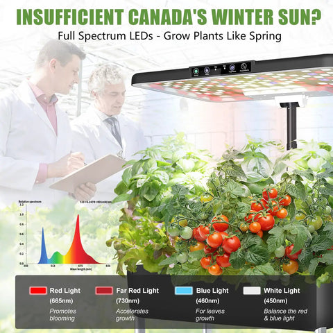 Professionals inspecting 44 Pod Indoor Hydroponic Grow System With Dual 53W Full Spectrum LEDs, displaying lush tomato plants.