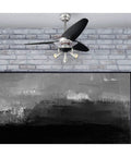 Vector Elite 42 Inch Three Blade Ceiling Fan with LED Light Kit and Nickel Finish in modern small room setting