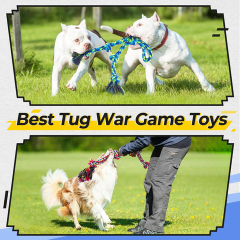 Dogs playing tug of war with Rugged Dog Rope Toys 5 Pack For Aggressive Chewers Tough Tug Of War For Small Medium And Large Dogs