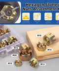 60Pcs Hex Slotted Nuts Set M10 M12 M14 M16 M18 M20 Carbon Steel Hex Castle Nuts with label identifiers in open box and on table.