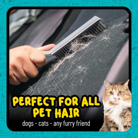 Hand using Pro Rubber Pet Hair Removal Brush for Cars Trucks SUVs RVs And Home Multi Surface Detailing Tool on upholstery removing pet hair