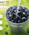 Onyx Black Fire Glass Rocks Half Inch High Luster Reflective Tempered Glass for fire pits and fireplaces in a metal bucket outdoors
