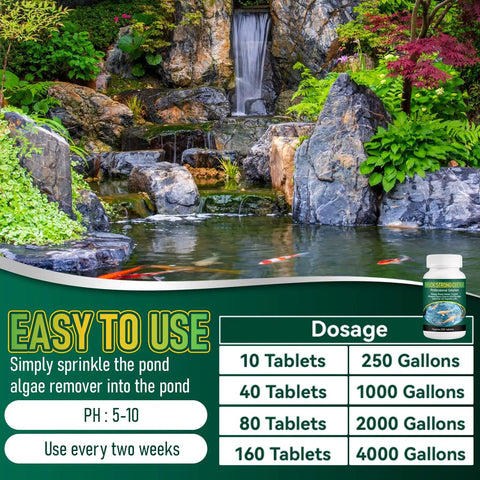 Pro Pond Muck Reducer For Fish Ponds Baths And Fountains No Fuss Easy And Efficient Deep Clean With 500 Tablets 500g