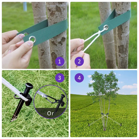 All In One Steel Tree Stake Kit installation process for young trees with steel stakes, straps, and anchoring rope in use.