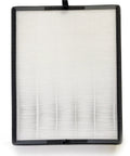 True HEPA Filter Replacement for Breathe Flex 45i Air Purifier with Activated Charcoal, Odor Reduction, Traps Hair and Dust