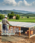 Farmer assembling strawberry cage with Half Inch Mesh Wire Cloth Roll 36 Inch Wide By 100 Foot Long 19 Gauge Hot Dip Galvanized