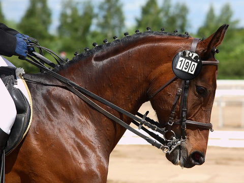 Horse with Genuine Leather Number Holders for Bridle or Saddle Pad Two Pack with Built in Clip Easy 3 Digit Change System