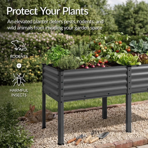 Elevated Galvanized Raised Garden Bed 72x24x30 Inches No Toxic Materials For Safe Veggie Garden And Herbs Heavy Duty Metal Planter Box Charcoal Finish That Reduces Bending And Kneeling with plants growing.