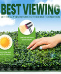 Hand touching Boxwood Hedge Panel Pack 24 Count 20 By 20 Inches Artificial Grass Wall Backdrop Greenery Wall