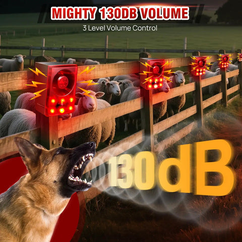 Solar Powered Wireless Outdoor Motion Sensor Alarm With 130dB Siren And Strobe Light on fence with sheep in background