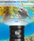 Beast Bright 25000 Lumens Underwater Dive Light with 100m Depth used underwater with seal and kelp, 120° illumination angle.