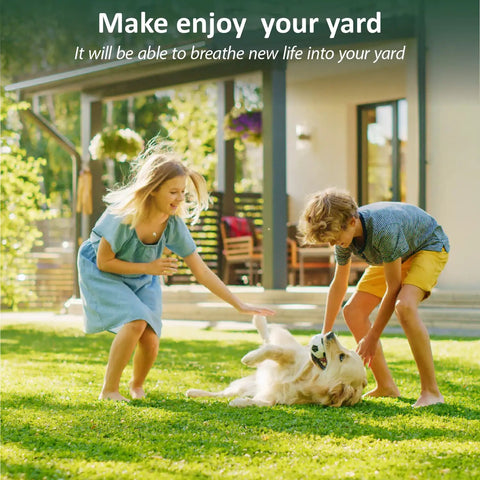 Two kids playing with a dog on a grassy lawn, illustrating the joy of yard life with healthy grass.