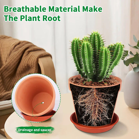 Six Pack 6 Inch Terracotta Pots With Saucers For Indoor Outdoor Plants Drainage Hole Mesh Liners Included in use with cactus