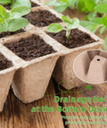 Close-up of 300 Cell Seed Starter Tray Kit With Biodegradable Peat Pots For Seedlings No Mess 25 Trays With Drain Holes