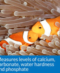 Straight Up Essential Reef Tank Test Kit Gotta Watch Water Quality Accurately Checks Critical Parameters Keeps Your Saltwater Fish Blissful Zero Sweat Marine Maintenance Daily Ocean Care Kit showcases clownfish near anemone.