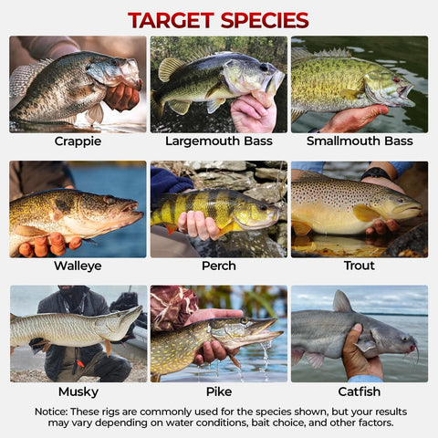 Freshwater Terminal Tackle Kit With 400 Pieces And 19 Plus Rig Options, Hooks, Weights And Sinkers, Jig Hooks, Floats And Bobbers, Endorsed By A Fishing Expert For Pro Grade Angling