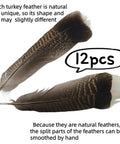 Natural Turkey Tail Feathers 12 Pack Long 8 To 10 Inches Bulk Feathers For Crafts DIY Wedding Decor Fly Tying Costumes