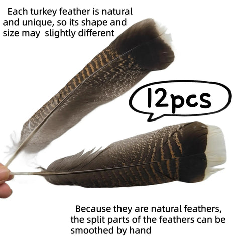 Natural Turkey Tail Feathers 12 Pack Long 8 To 10 Inches Bulk Feathers For Crafts DIY Wedding Decor Fly Tying Costumes
