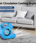 Powerful Air Mover 1/8 HP 550 CFM Carpet Dryer with three speeds placed on a rug in a living room for home use