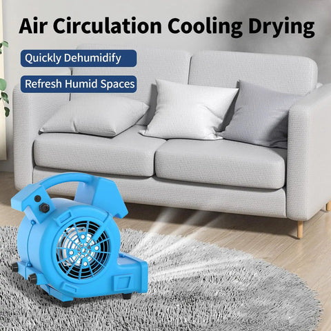 Powerful Air Mover 1/8 HP 550 CFM Carpet Dryer with three speeds placed on a rug in a living room for home use