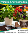 50 Pcs Coco Coir Pellets For Seed Starting Expand To About 3.96 Qt Potting Soil For Indoor Outdoor Gardens with plants