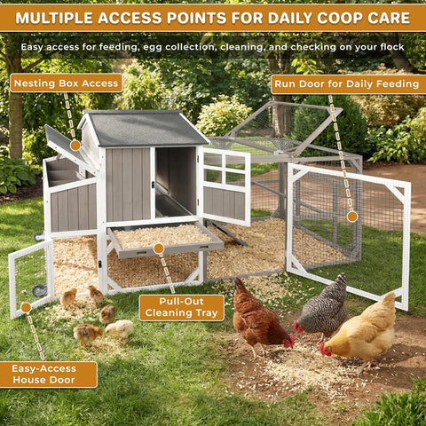 Spacious Backyard Chicken Coop With Walk-In Run And Wheels For 3 To 6 Hens, showing open doors, nesting box, and cleaning tray