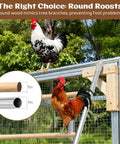 Chickens on steel and wood roost ladder, 55-inch perch in a coop, showcasing Large Chicken Roosting Bars For Coop 55 Inch Perch.
