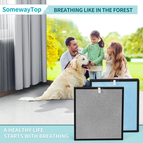 True HEPA Replacement Filter Set For Home Air Purifier 4 Stage System With Carbon Pre Filter Odor Removal Fits HSP001 in room