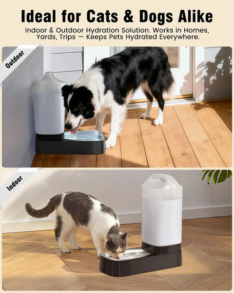 2.4 Gallon Stainless Steel Gravity Dog Water Dispenser With Ergonomic Handle Anti Splash Drinking Bowl in use by pets