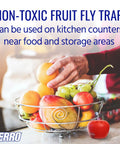 Person placing fruit near Indoor Fruit Fly Trap Kit With Built In Window Ready To Use, 2 Traps And 90 Day Lure Supply