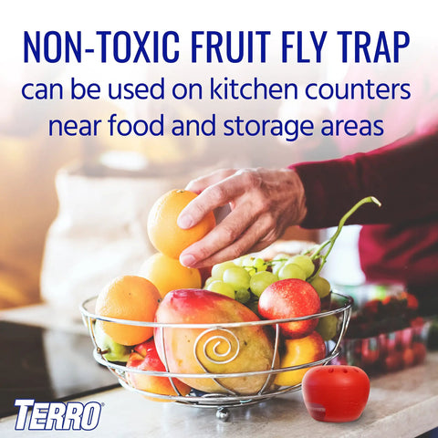 Person placing fruit near Indoor Fruit Fly Trap Kit With Built In Window Ready To Use, 2 Traps And 90 Day Lure Supply